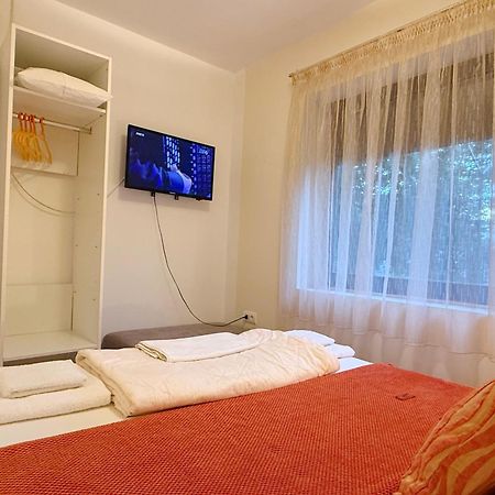Villa Elita - Bela Crkva بيلا تسركفا المظهر الخارجي الصورة