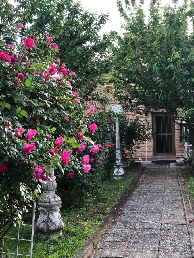 Villa Elita - Bela Crkva بيلا تسركفا المظهر الخارجي الصورة